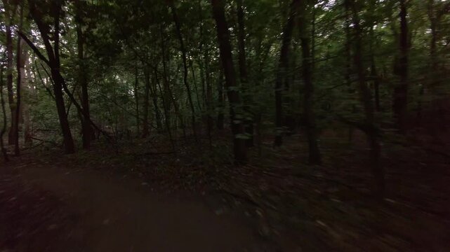 First person view of man riding bike in forest POV bicycle movement through forest path capturing forward motion and immersive riding experience in natural environment