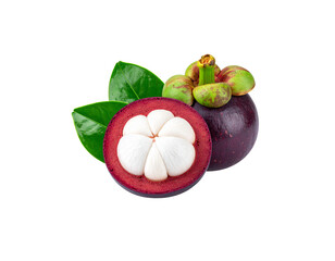 Ripe mangosteen and juicy plums against a white background.