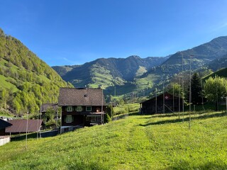 Alpine meadows and pastures on the slopes of the Uri Alps mountain massif and in the alpine valley Melchtal - Canton of Obwalden, Switzerland (Kanton Obwald, Schweiz) © Mario