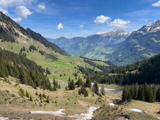 Alpine meadows and pastures on the slopes of the Uri Alps mountain massif and in the alpine valley Melchtal - Canton of Obwalden, Switzerland (Kanton Obwald, Schweiz) © Mario