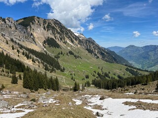 Alpine meadows and pastures on the slopes of the Uri Alps mountain massif and in the alpine valley Melchtal - Canton of Obwalden, Switzerland (Kanton Obwald, Schweiz) © Mario