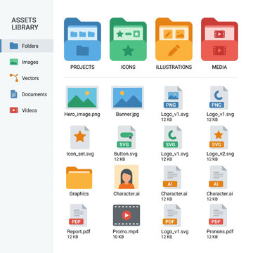 Modern digital asset management software interface presenting a structured view of various creative files, from vector graphics to multimedia for design projects