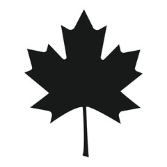 Naklejka premium Black silhouette of maple leaf icon vector, isolated on white background.