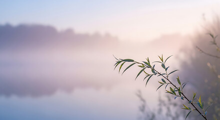 Fototapeta premium Foggy lake at sunrise with tree branch