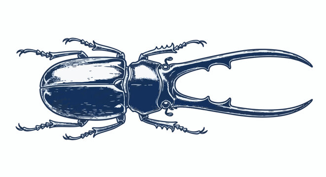 Stylized illustration of a large beetle with prominent curved horns