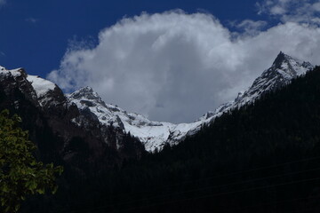 Obraz premium Snow covered Himalayan peaks and deodar forest in Harsil Valley Uttarkashi India. Beautiful snow-covered Himalayan mountains rising above dense deodar forest under dramatic clouds in Harsil Valley.
