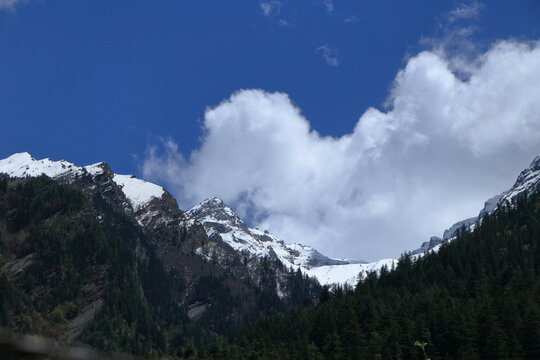 Snow covered Himalayan peaks and deodar forest in Harsil Valley Uttarkashi India. Beautiful snow-covered Himalayan mountains rising above dense deodar forest under dramatic clouds in Harsil Valley.