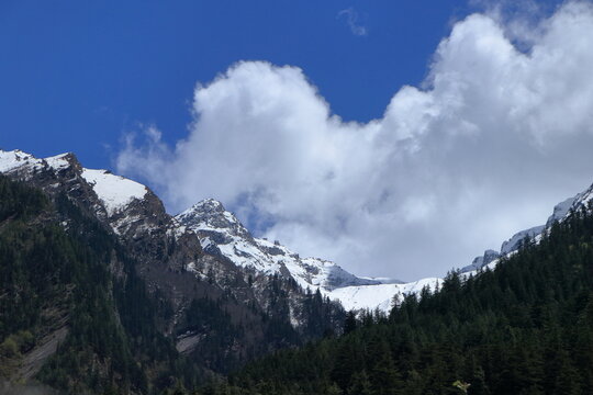 Snow covered Himalayan peaks and deodar forest in Harsil Valley Uttarkashi India. Beautiful snow-covered Himalayan mountains rising above dense deodar forest under dramatic clouds in Harsil Valley.