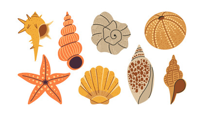Sea shells collection, hand drawn ocean marine elements set in warm earthy colors. Various exotic seashells and starfish isolated on white background. Vector illustration © OlenaVeres