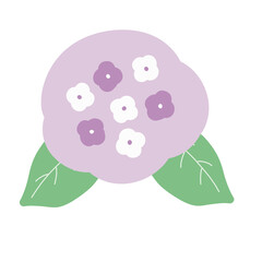 Obraz premium むらさきの紫陽花のカラーイラスト・梅雨