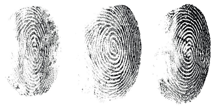 Abstract grunge realistic human fingerprints side by side, black ink fingerprint marks on white background, forensic identification style, detailed ridge texture, minimal clean design.
