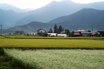 大糸線からの車窓風景 © 1971