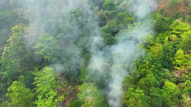 High-angle aerial shot of burning tropical forest area, emphasizing deforestation risks, wildlife displacement, and irreversible damage to natural ecosystems and carbon storage capacity. Thailand. 4k.