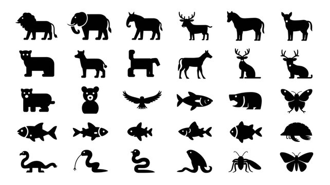 Animal Silhouette Collection, Mammals Birds Fish Insects Reptiles Vector Icon Set