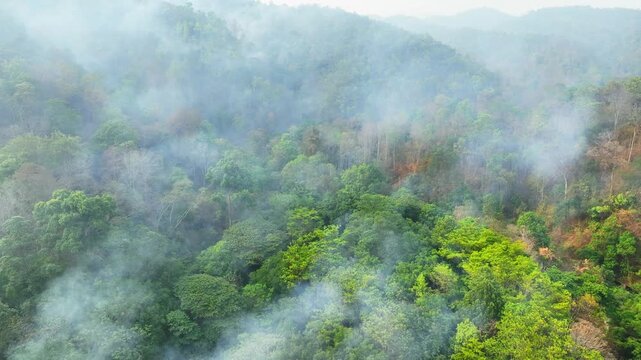 Drone perspective of forest fire in tropical rainforest producing thick smoke, highlighting air pollution, biodiversity loss, and the devastating impact of climate-related extreme fire events. 4k.
