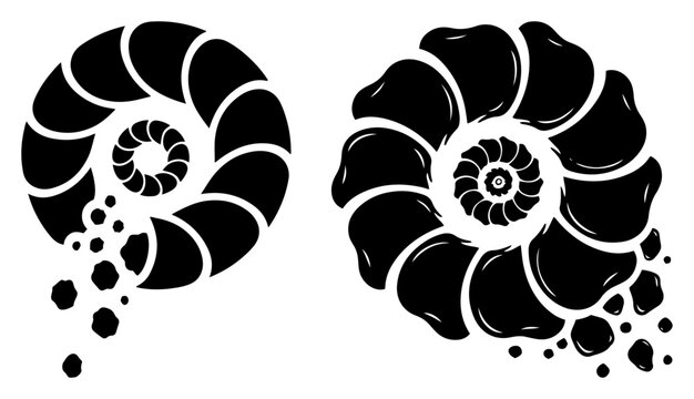 Spiral ammonite sea shells crumbling into small fragments in minimalist stencil style