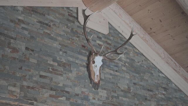 Decorative deer skull hunting trophy hanging on a stone wall inside a rustic mountain chalet
