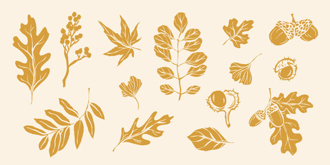 Flat vector yellow hand drawn leaves collection © Maria