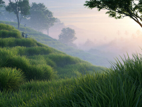 Misty Morning Light Over Indonesian Rice Fields
