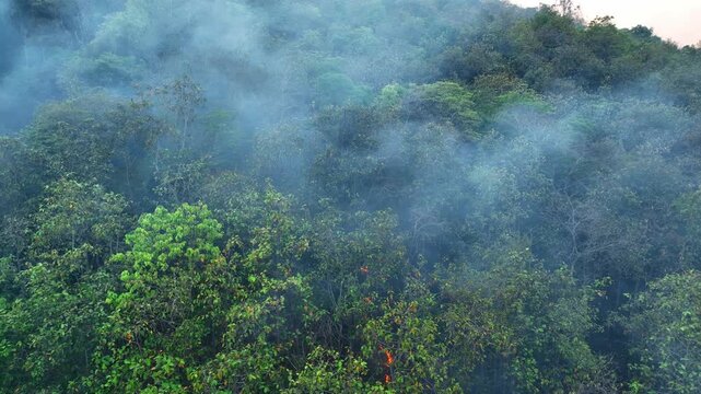 Drone footage of wildfire in tropical rainforest, burning vegetation and thick smoke drifting, reflecting urgent environmental threats, air pollution, and irreversible damage to natural ecosystems.
