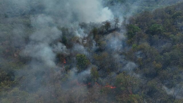 Drone view of severe wildfire across mountain forest, smoke spreading through valleys, highlighting ecological damage, global warming effects and irreversible environmental consequences. Thailand. 4k.