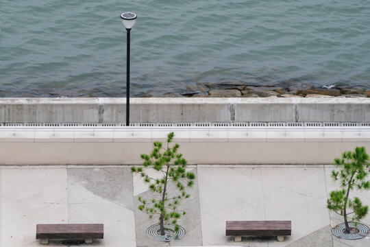 Minimalist waterfront promenade with stone benches and young pine trees.