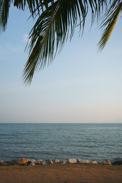 Calm tropical sea view with palm tree leaves framing the top of the frame.