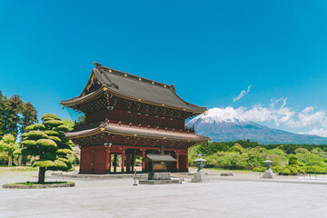Obraz premium Japanese Wooden Temple Gate with Mount Fuji and Topiary Tree in Spring