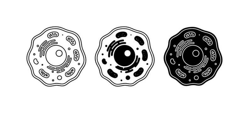 Nucleus Graphics Nucleus Diagram Images – Browse 30,858 Stock Photos, Vectors, and Video ...