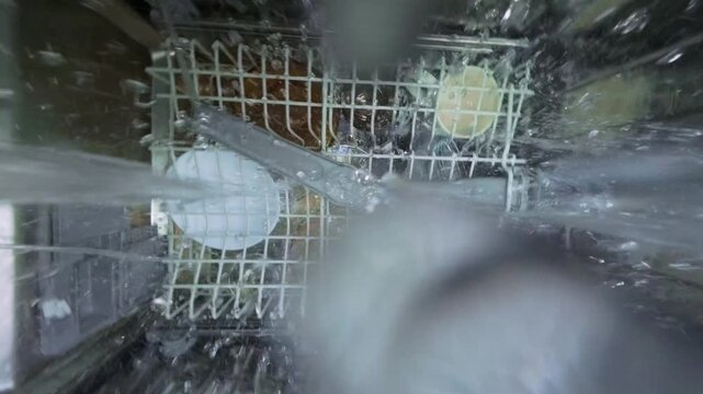 Inside View of Dishwasher with Water Spray and Rotating Arm
