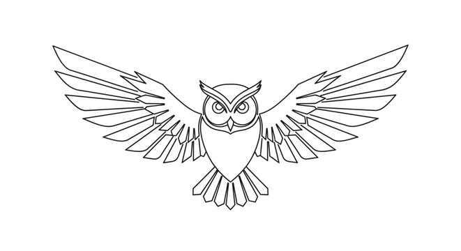 Owl in flight wings spread wide.