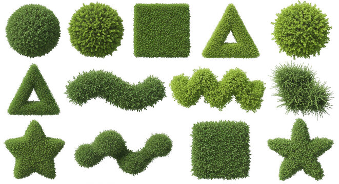 Collection of various geometric and organic topiary shapes made of green leaves isolated on a black background
