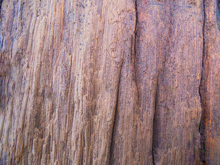Obraz premium Rough Vertical Wood Texture with Brown and Purple Tones