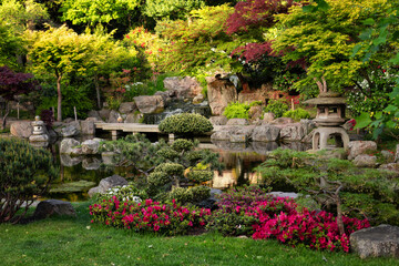 Fototapeta premium Spring Kyoto garden in Holland park, London, UK, April 29, 2026.