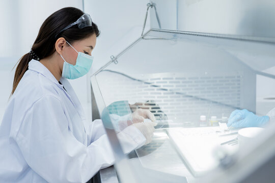 Researcher conducts experiments in a laboratory focused on scientific analysis and experimentation during daytime