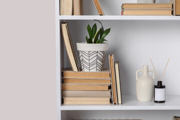 Shelving unit with books, houseplant and decor on white background © Pixel-Shot