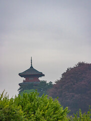 Naklejka premium Traditional Japanese Pagoda Temple Tower Surrounded by Lush Green Forest Trees in Peaceful Natural Setting