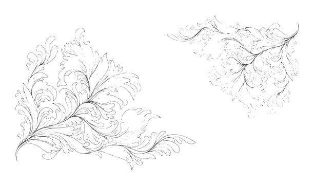 Ornate scrollwork flourishes in black ink a white