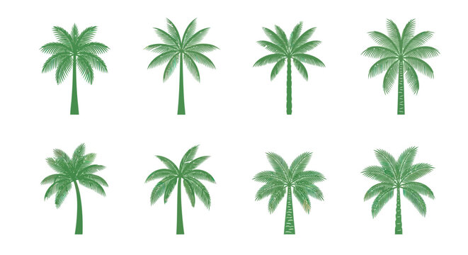Green palm trees in a row.