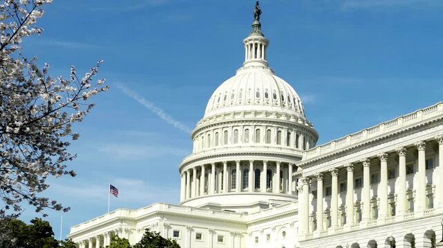 United States Capitol building in Washington, DC in the morning home of the U S Congress, and the seat of the legislative branch of the U.S. federal government