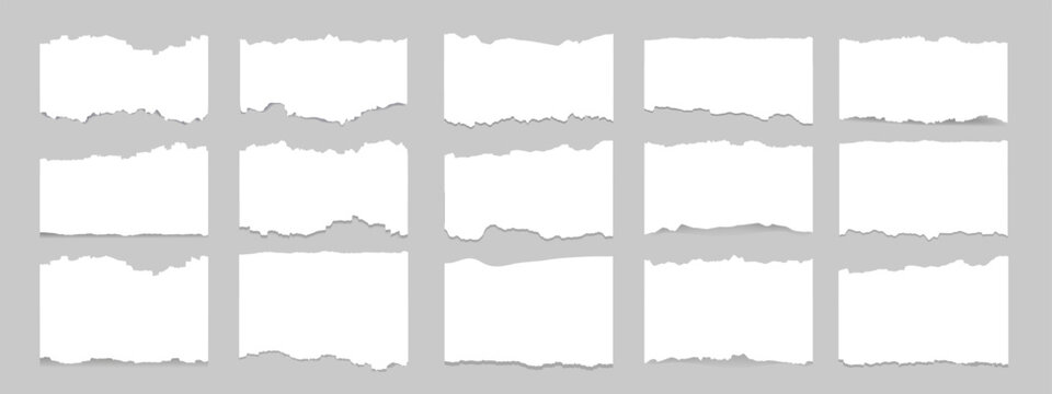Set of white torn paper strips with uneven, rough edges on gray background.
