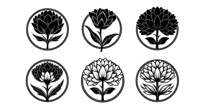 Tree leaf logo icons set with circular monoline engravings and symmetrical botanical silhouettes for branding and vintage emblems