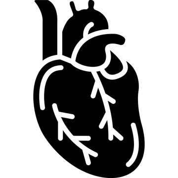 Heart Vector Icon