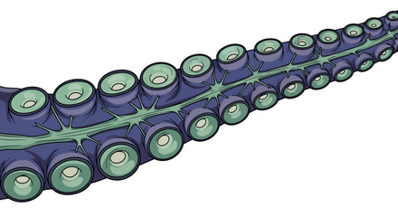 Illustration of a purple octopus tentacle with green suckers on a white background © Ngerdo
