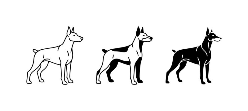 Doberman Pinscher Dog Vector Icons, Silhouette and Outline Styles, Black and White Canine Graphics for Pet Branding and Design