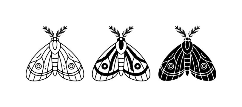 Three Stylized Moth Illustrations, Outline and Silhouette Vector Art, Insect Graphics for Nature and Entomology Designs