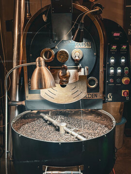 Industrial coffee roasting machine with freshly roasted beans in the cooling tray