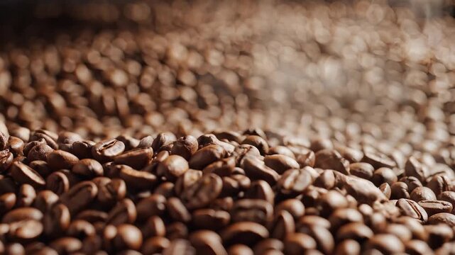 Closeup Macro Shot of Roasted Coffee Beans in Natural Light.