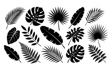 Collection of Tropical Plant Leaf Silhouettes. © Kasasagi
