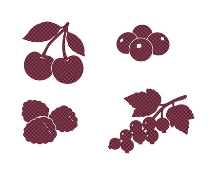 Minimalist berry fruit silhouettes, dark purple cherry and raspberry icons, flat vector set of currant and blueberry illustrations for food packaging